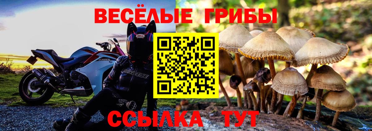 Галлюциногенные грибы ЛСД  Вход с VPN  Кирово-Чепецк 