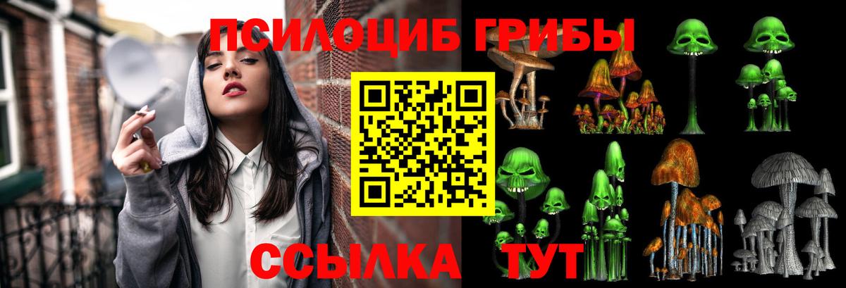 Галлюциногенные грибы Magic Shrooms Кирово-Чепецк